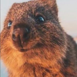 Meet your Posher, Kaitlynne